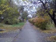 Миколаївка з panoramio.com (ч.2)