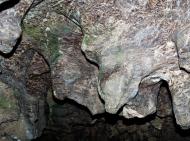 Кривче з panoramio.com