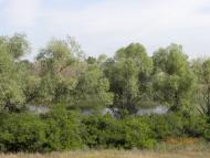 Вереміївка з panoramio.com