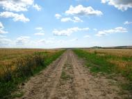 Майорщина з panoramio.com