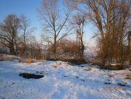 Берездівці з panoramio.com