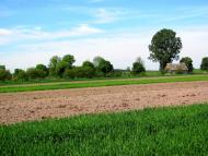 Сокіл з panoramio.com