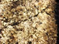 Фастів з panoramio.com (ч.2)