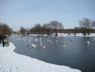 Червоноград з panoramio.com