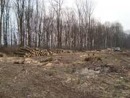 Новоукраїнка - Останні фото