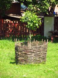 Маркова з panoramio.com