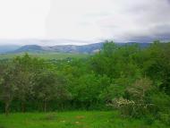 Краснолісся з panoramio.com