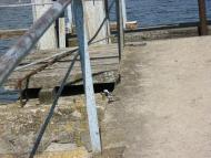 Жовтневе - Останні фото