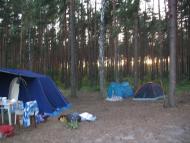 Піски-Річицькі з panoramio.com