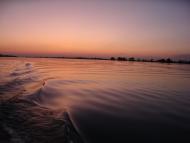 Jantarne - Latest photos