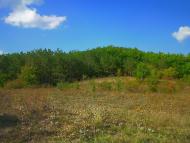 Богатир з panoramio.com