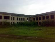 Коробчино - Останні фото