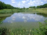 Моринці з panoramio.com