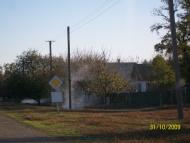 Новомиколаївка з panoramio.com