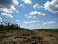 Майорщина з panoramio.com