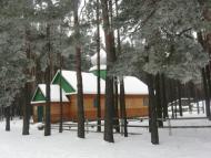 Маневичі з panoramio.com