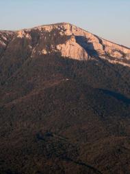 Лаванда з panoramio.com (ч.2)