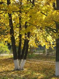 Вознесенськ з panoramio.com