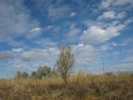 Дніпровське з panoramio.com