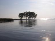 Косачівка з panoramio.com