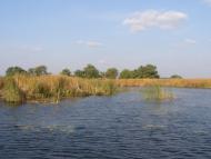 Косачівка з panoramio.com