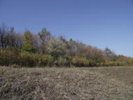 Артемівськ з panoramio.com (ч.2)