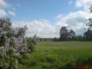 Кушкине - Останні фото