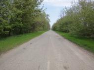 Велетенское - Последние фото