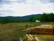 Щасливе - Останні фото