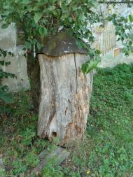 Майорщина з panoramio.com