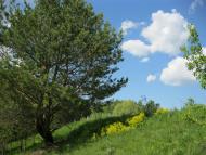 Жовтневе - Останні фото