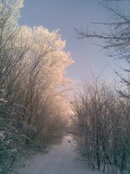 Пальчик - Останні фото