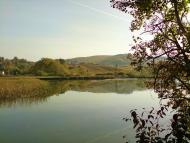 Рогачин з panoramio.com