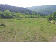 Многоріччя з panoramio.com