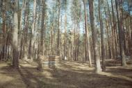 Терентіївка - Останні фото