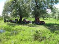 Гола Пристань з panoramio.com