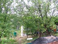 Циркуни з panoramio.com