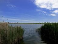 Вільний Посад з panoramio.com