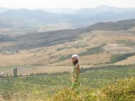 Нанікове з panoramio.com