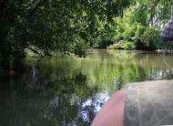 Сокиринці - Останні фото