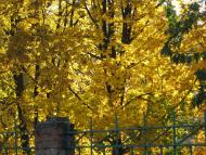 Вознесенськ з panoramio.com