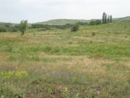 Новозванівка з panoramio.com