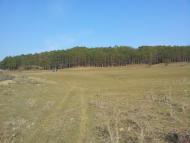 Голубинка з panoramio.com