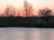 Коломия з panoramio.com