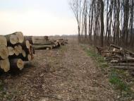 Новоукраїнка з panoramio.com