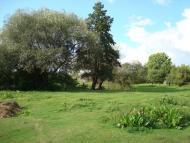 Черемошня - Останні фото