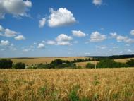 Майорщина з panoramio.com