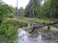 Нова Рудня з panoramio.com