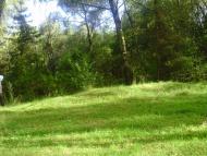 Петрове - Останні фото