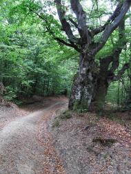 Руський Мочар - Останні фото